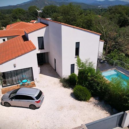 Villa Contemporaine, Jardin Mediterraneen Et Piscine Privee Saint-Jean-Pla-de-Corts Dış mekan fotoğraf